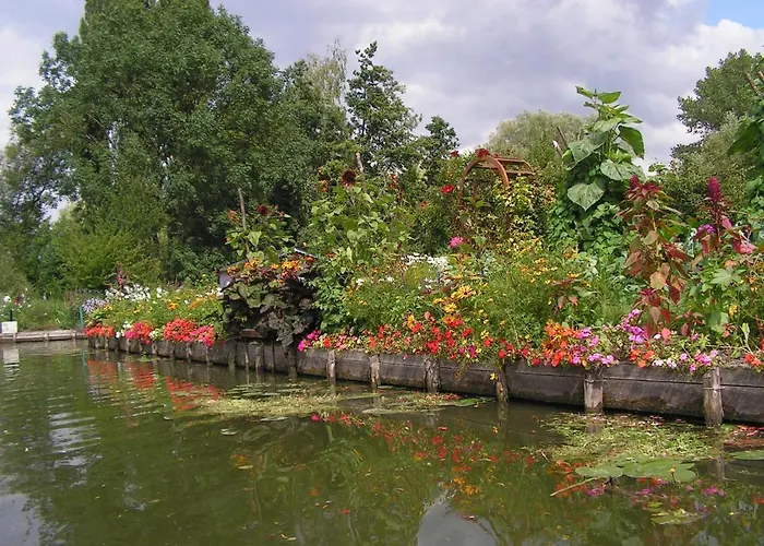 Les Hortillonnages_b&b Inn_centre Ville_terrasse_wifi_netflix 아미앵